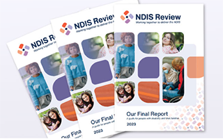 Image of 3 print copies of the NDIS Review